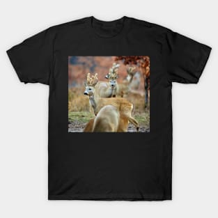 Roe deer family T-Shirt